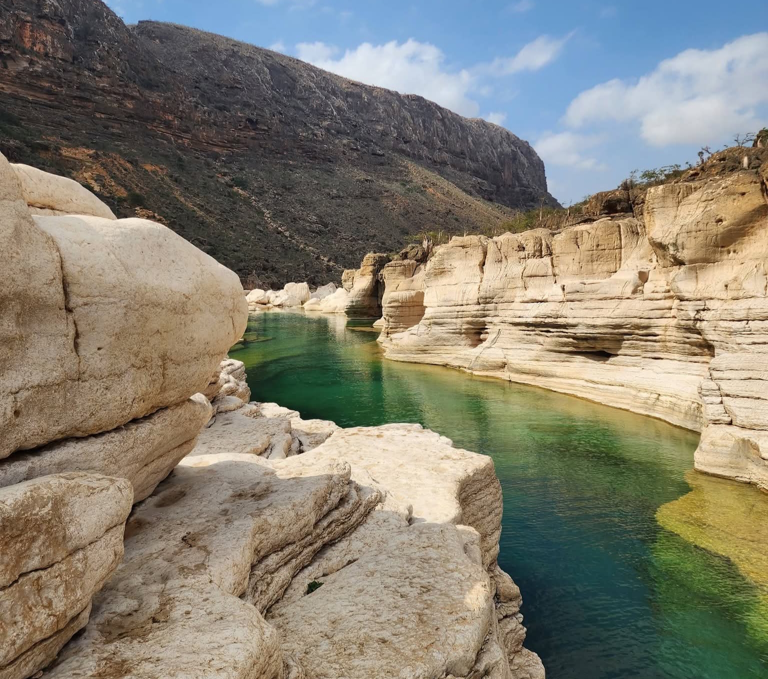 وادي كلسهن في سقطرى.. مسبح فيروزي يتدفق من قلب الجبال إلى المحيط