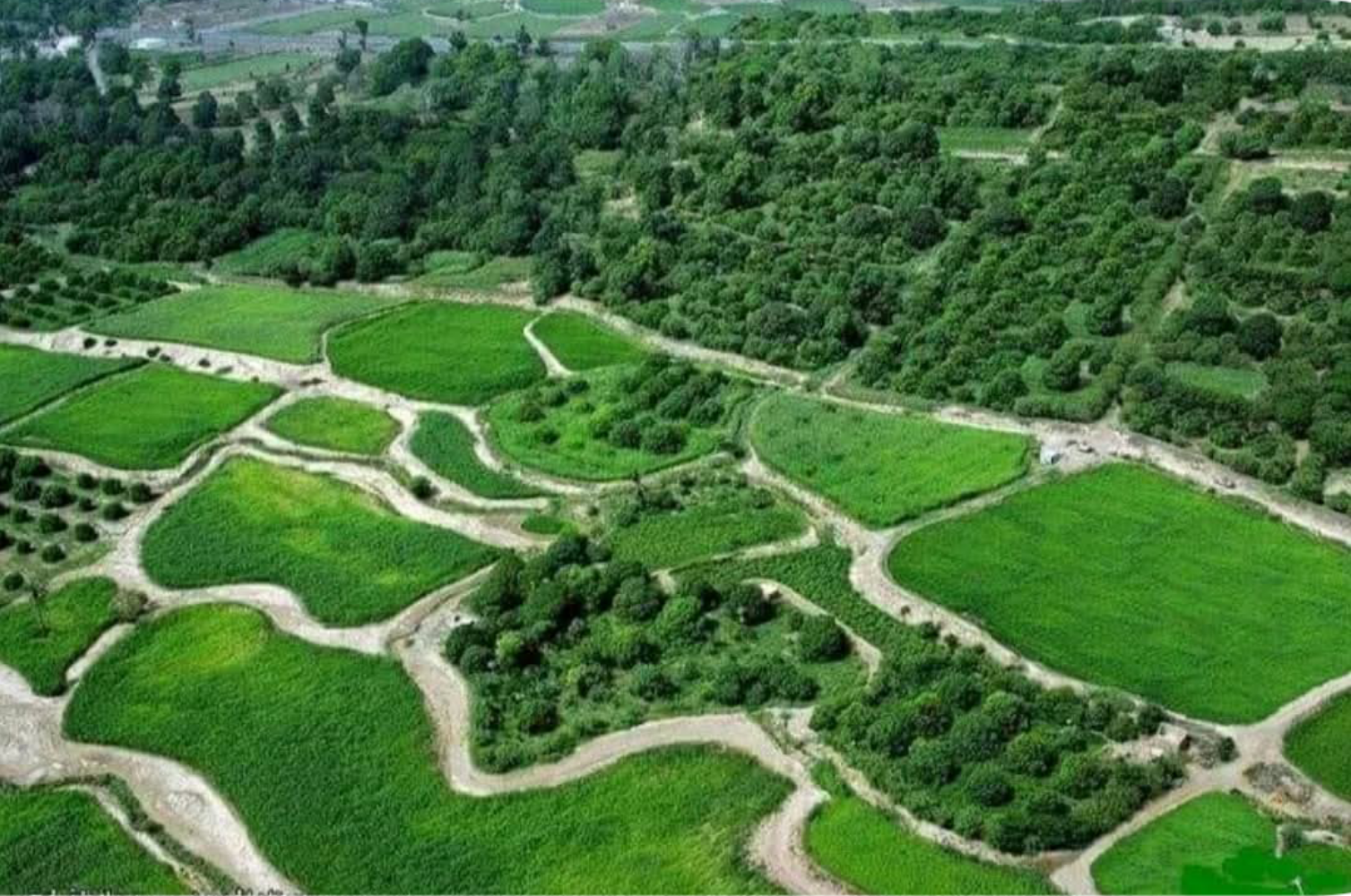 تُبن.. رحلة بين البساتين العتيقة والمواقع الأثرية